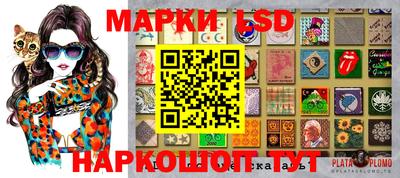 СК Дубна