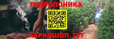 молекула духа Донской