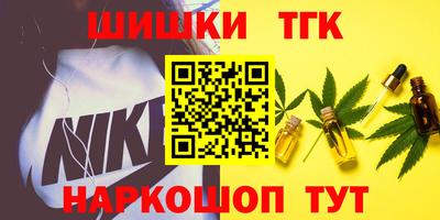 СК Дубна