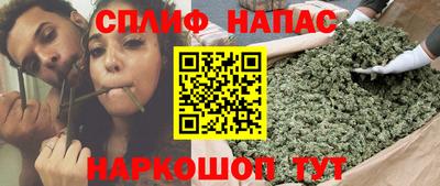 молекула духа Донской