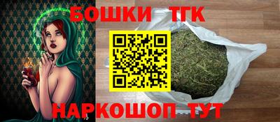 СК Дубна