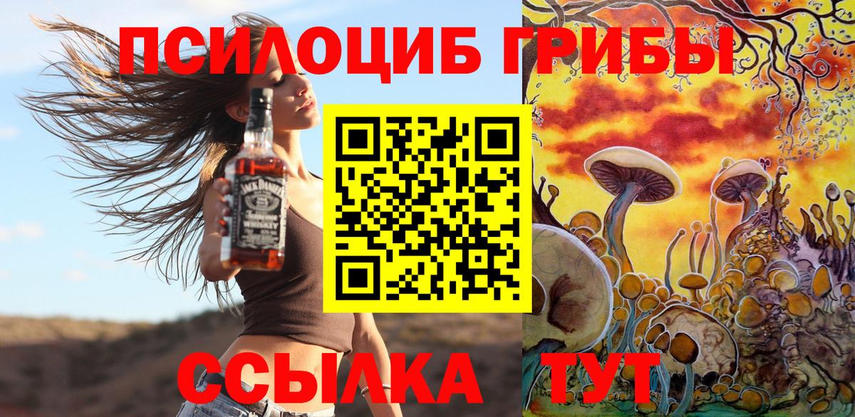 Нефтекумск  Псилоцибиновые грибы Psilocybine cubensis  Вход с VPN 